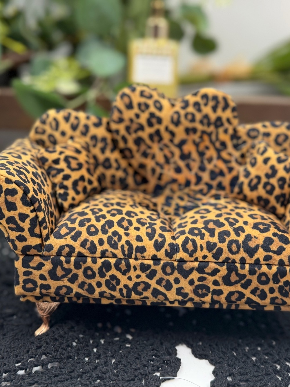 leopard print couch jewelry box organizer w/ mirror new
